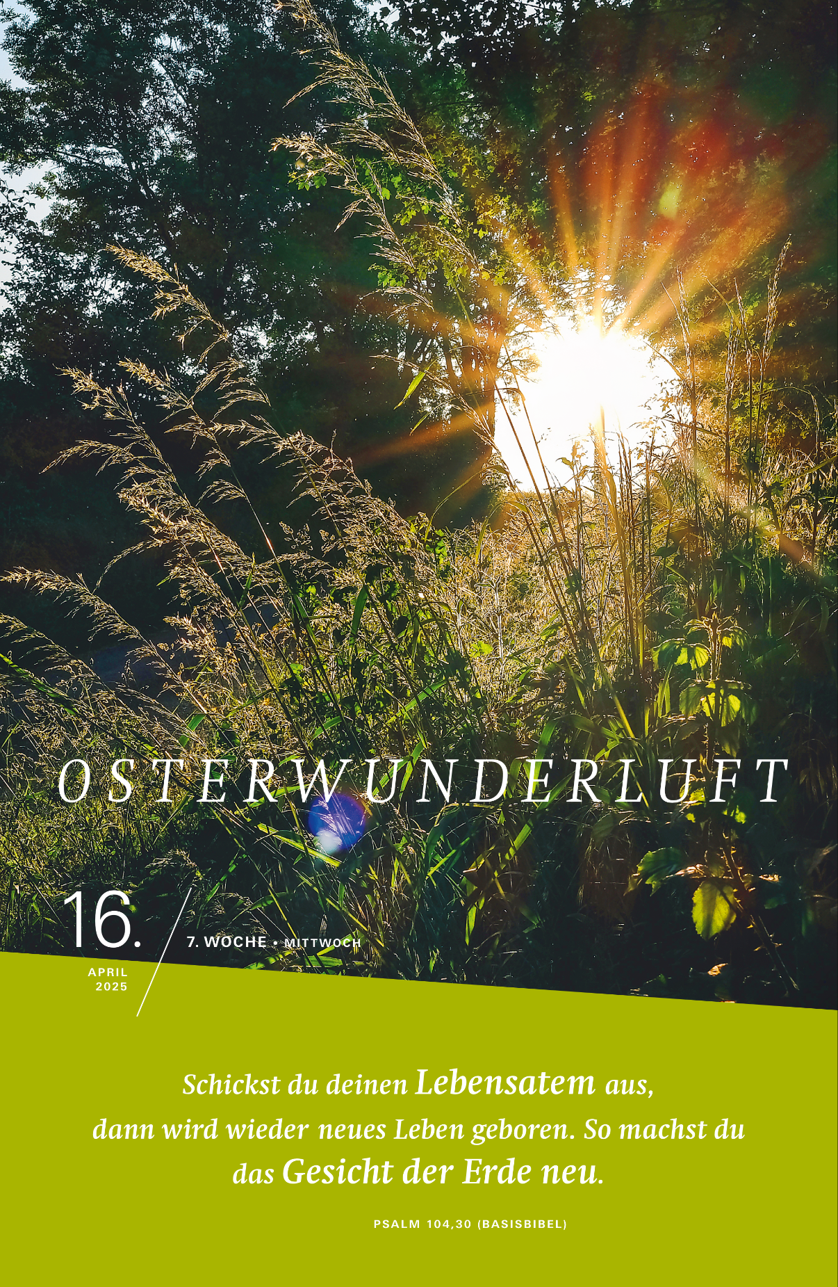 Luft holen! Sieben Wochen ohne Panik.